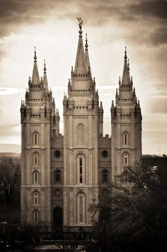 7bd76d766953d735739126f7927fad76