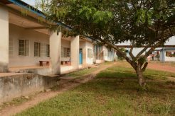 DSC_1187-e1466617473613